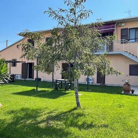 Agriturismo Da Michele E Carmela Di Voli Patrizia Donoratico Zewnętrze zdjęcie