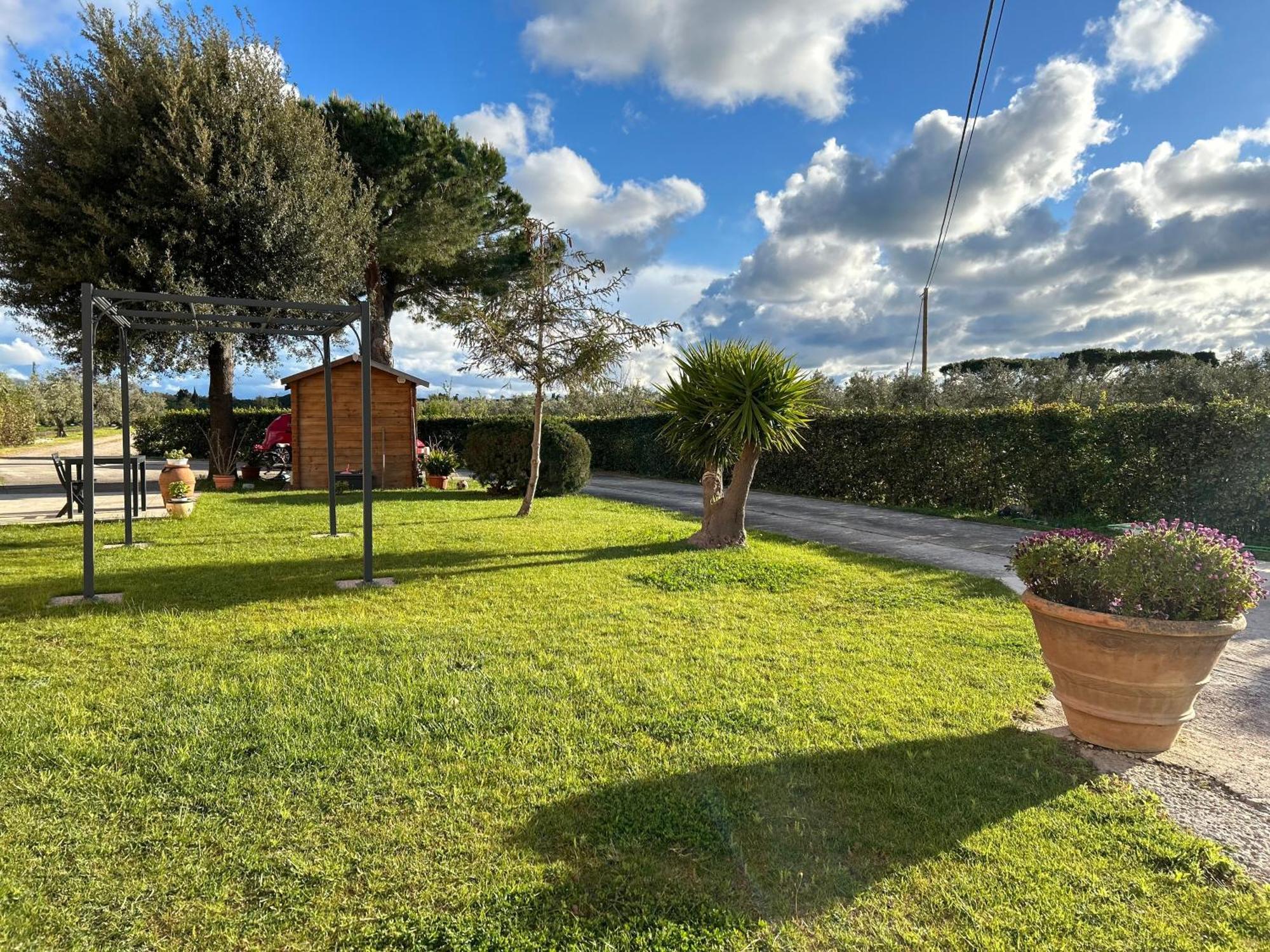 Agriturismo Da Michele E Carmela Di Voli Patrizia Donoratico Zewnętrze zdjęcie